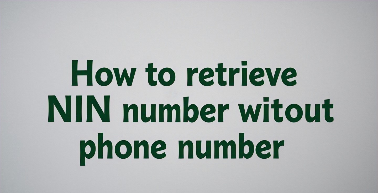 How to Retrieve NIN Number Without Phone Number